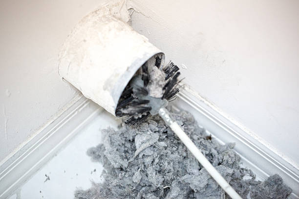 Best Affordable Duct Cleaning Services  in Tice, FL